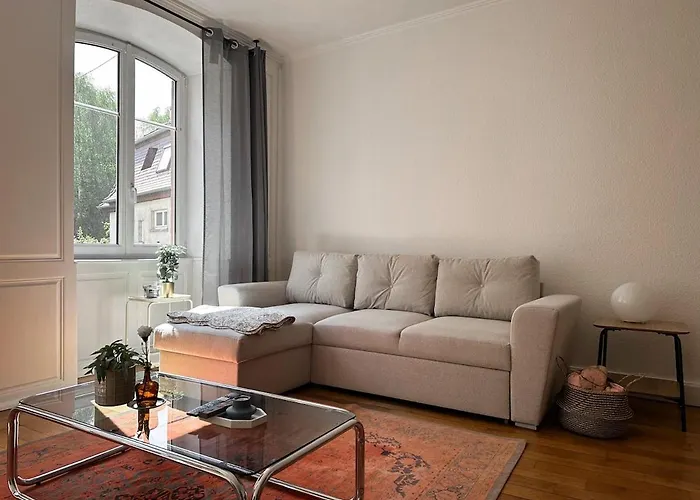 Hypercentre T2 50 M2, Chateau Des Rohan