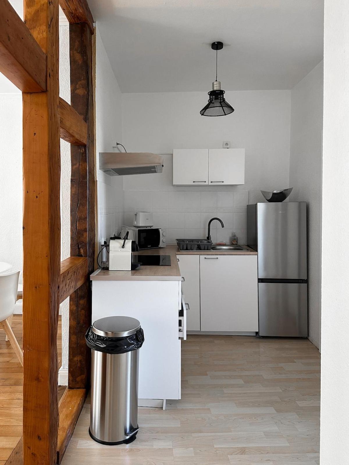 Hypercentre T2 50 M2, Chateau Des Rohan Apartment *